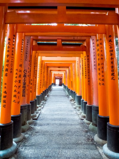 Fushimi Inari-taisha. Japçon. 2013